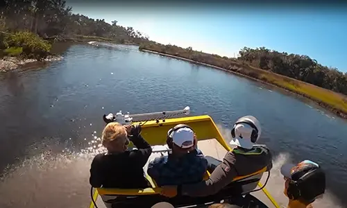 Airboat tour picture